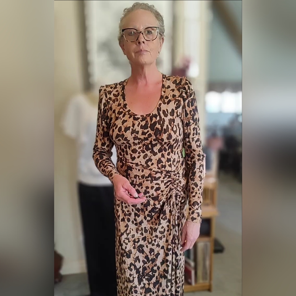 Beautiful Cabi Dress